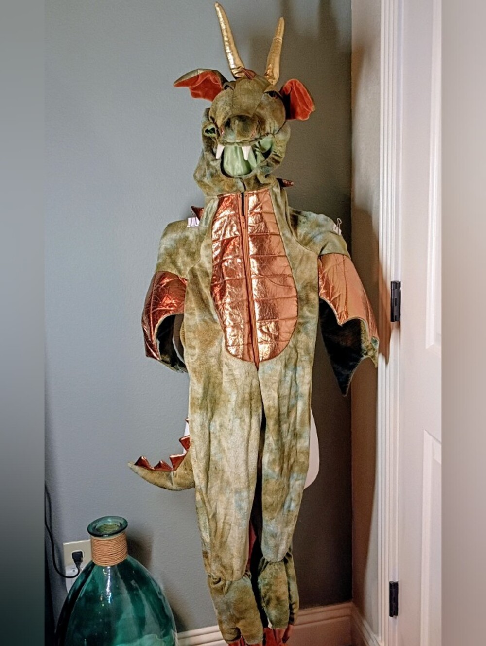 Awesome ministry of rascals Dragon Costume 5T